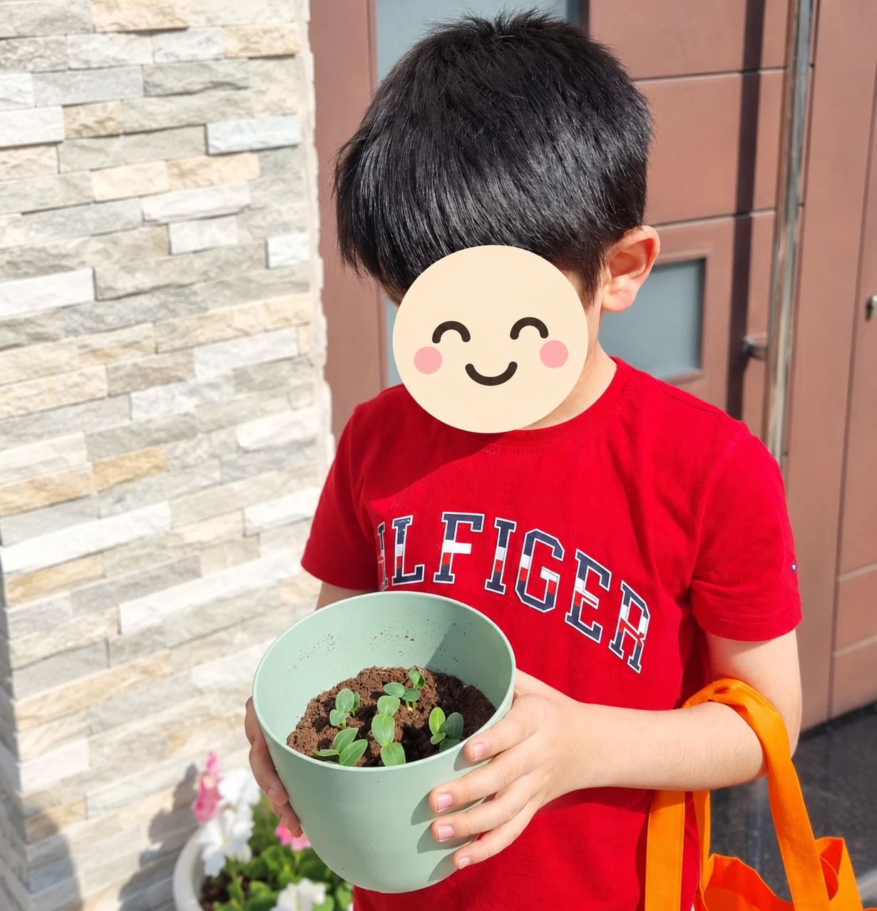 A potted seedling held during a responsibility activity.